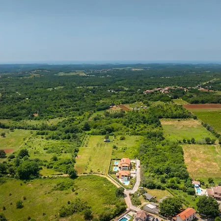Amalija Vila *